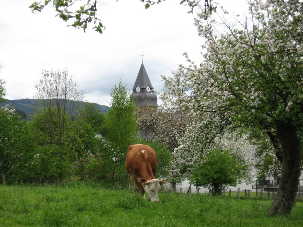 Ferienwohnung Moos-Hochsauerland Wiemeringhausen Camera foto